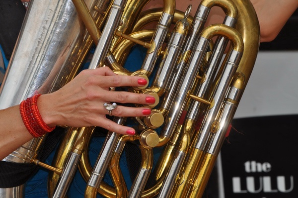 Schuetzen2010 V   120.jpg